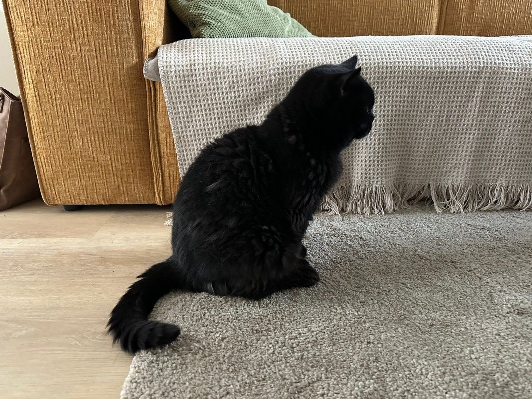 Uk