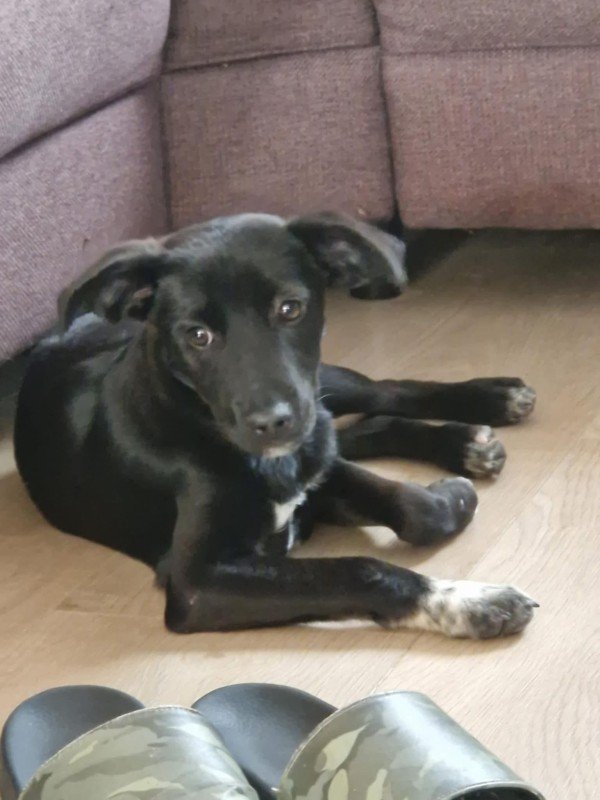 Luna