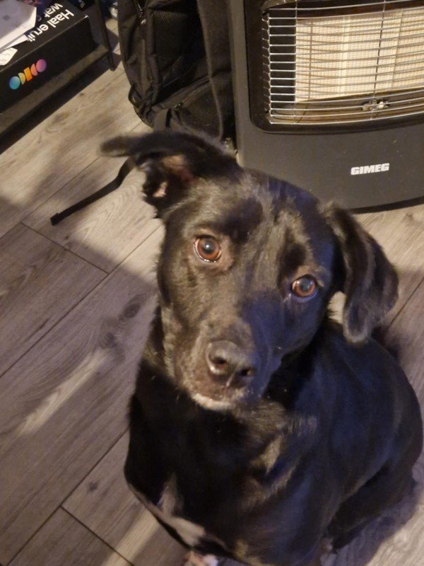 Luna