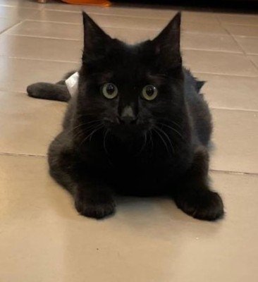 Luna