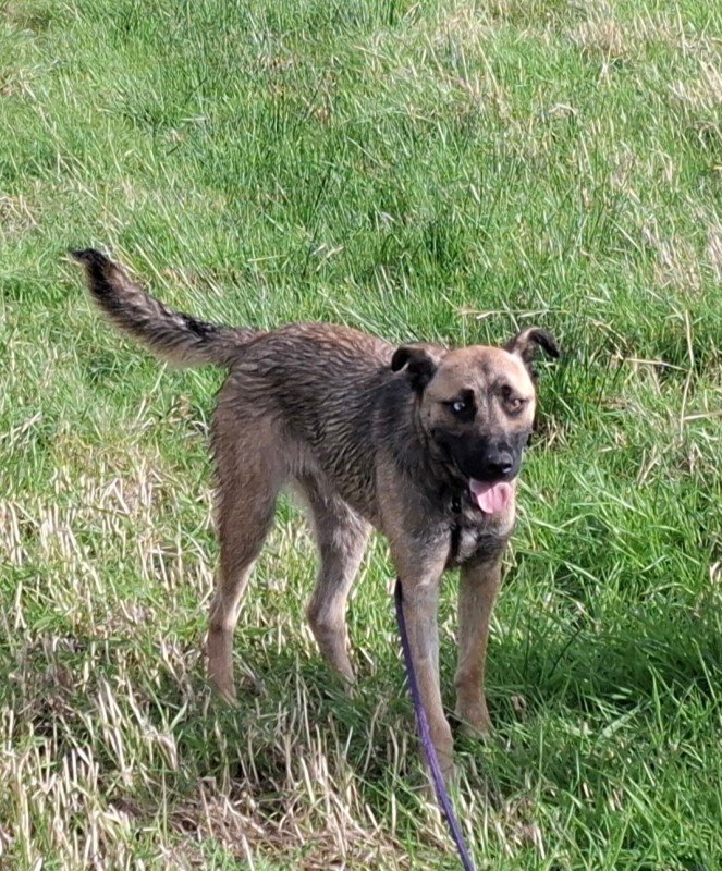 Boris