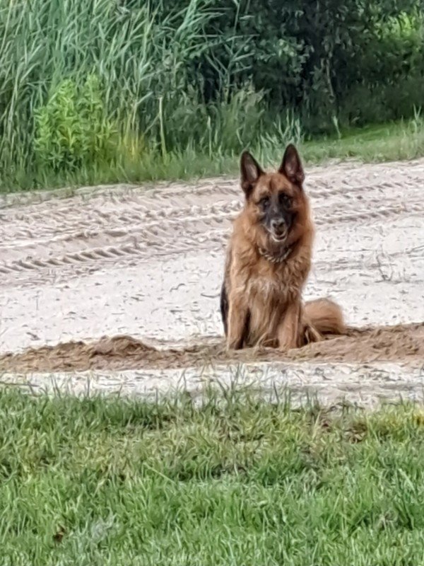 Sam