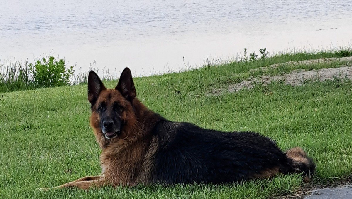 Sam