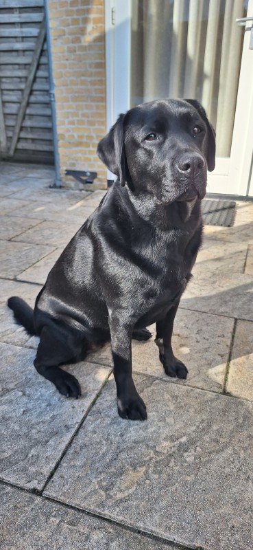 Luna