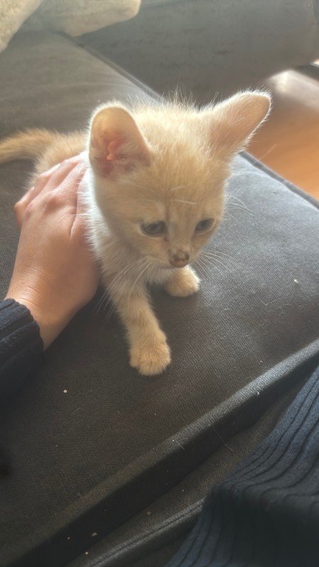 Sam