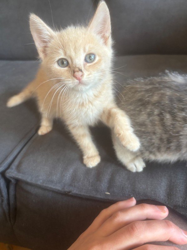 Sam