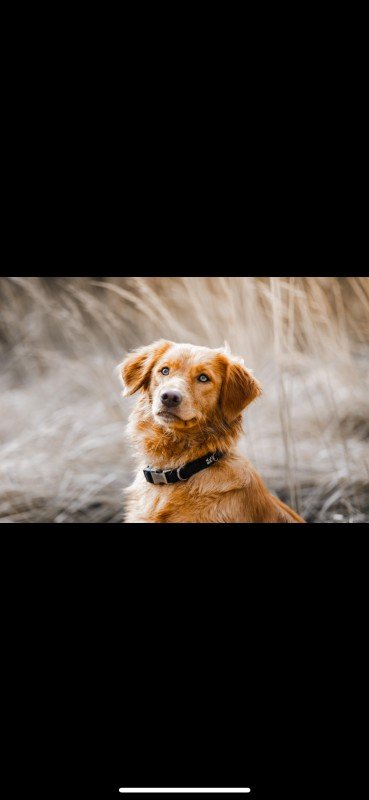 Marley