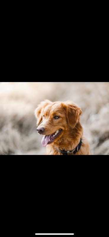Marley