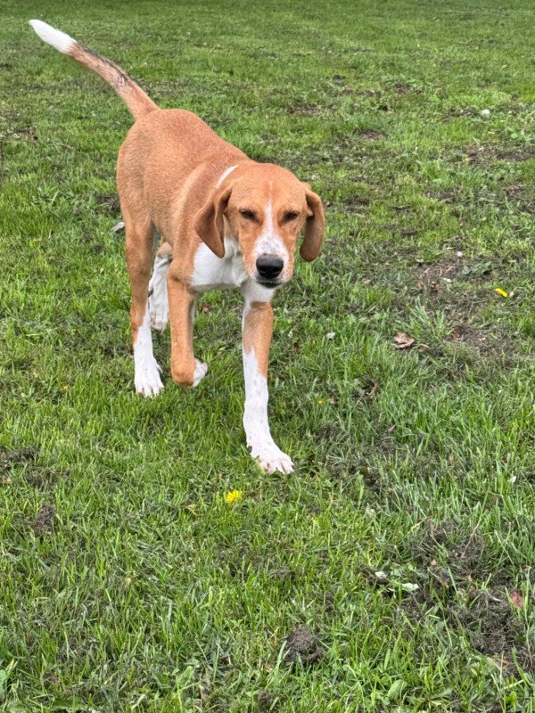 Max