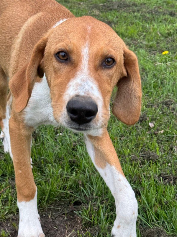 Max
