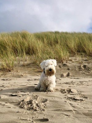 Philippe