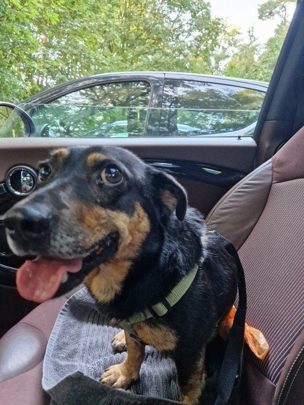 Milo