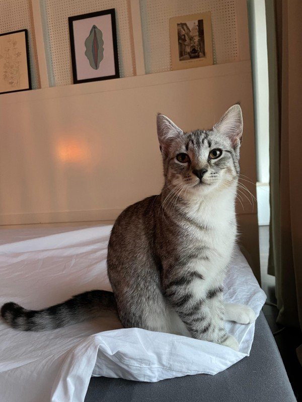 Pablo