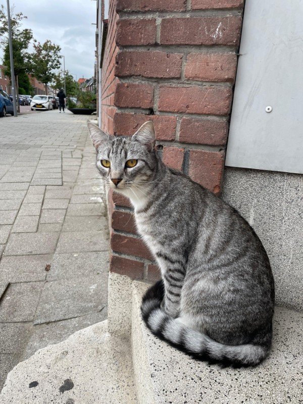 Pablo