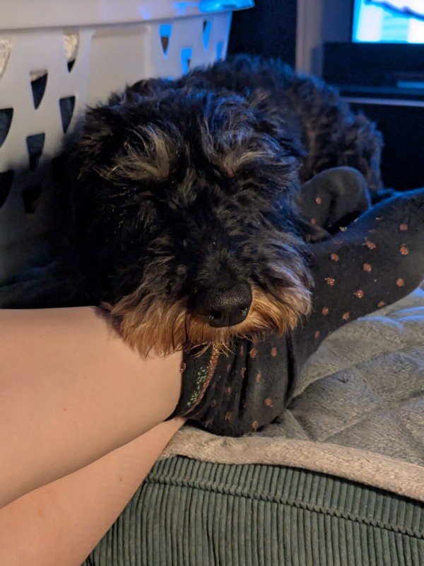 Max