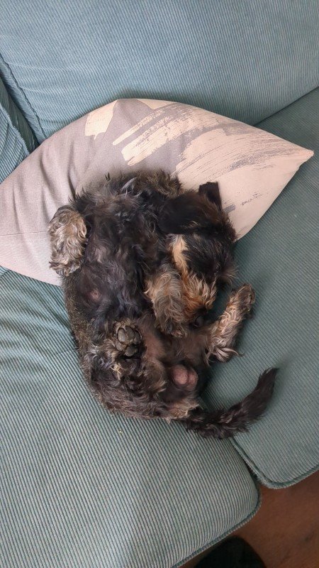 Max