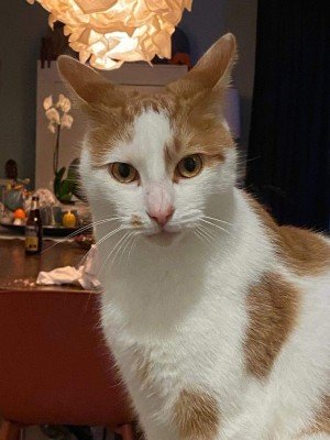 Tex