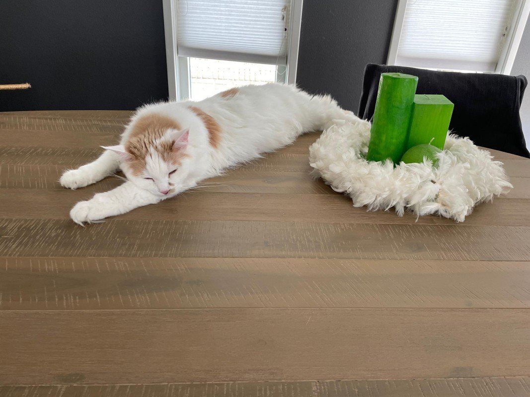 Casper