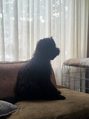 Charly