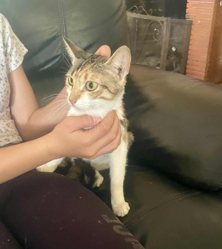 Lily- Pommetje- Piepje