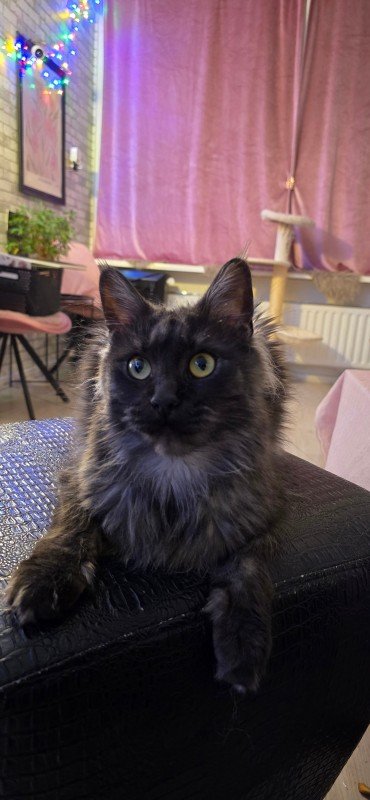 Luna