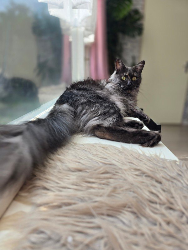 Luna