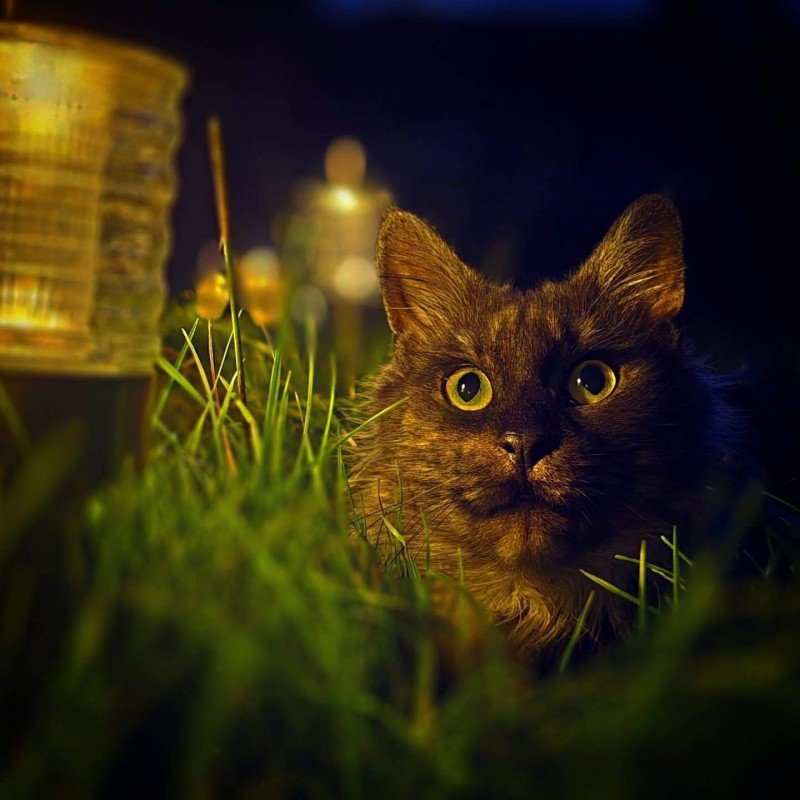 Luna