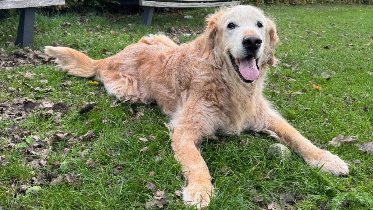 Marley