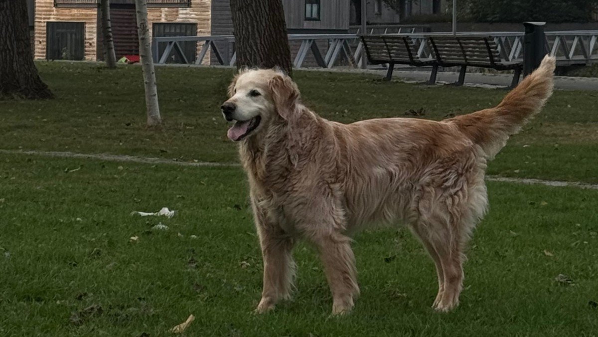 Marley