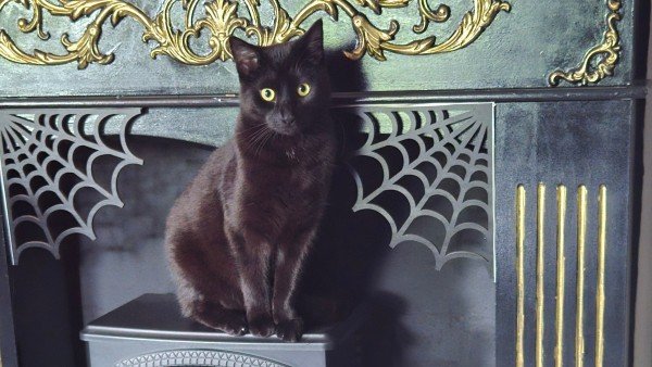 Salem