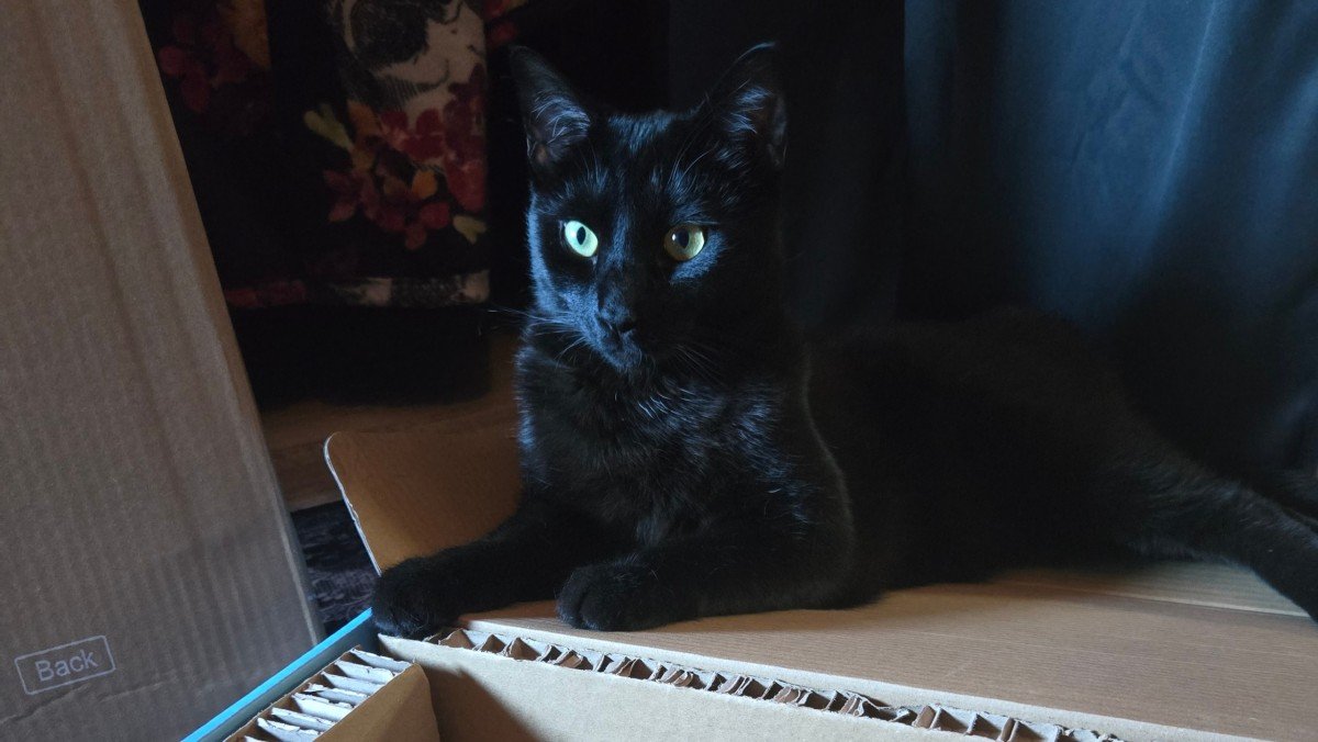 Salem