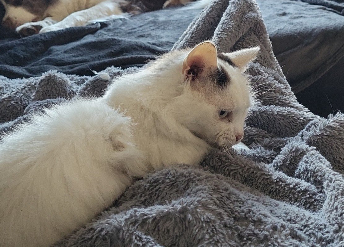 Lillith