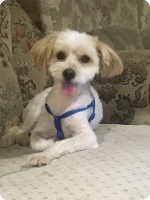 Ernest
