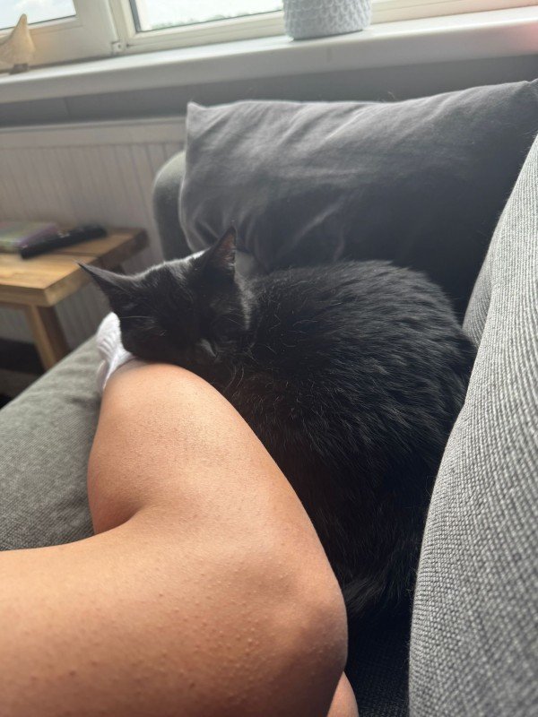 Mo