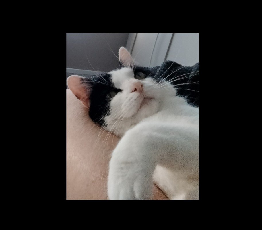 Coco