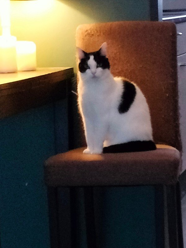 Coco