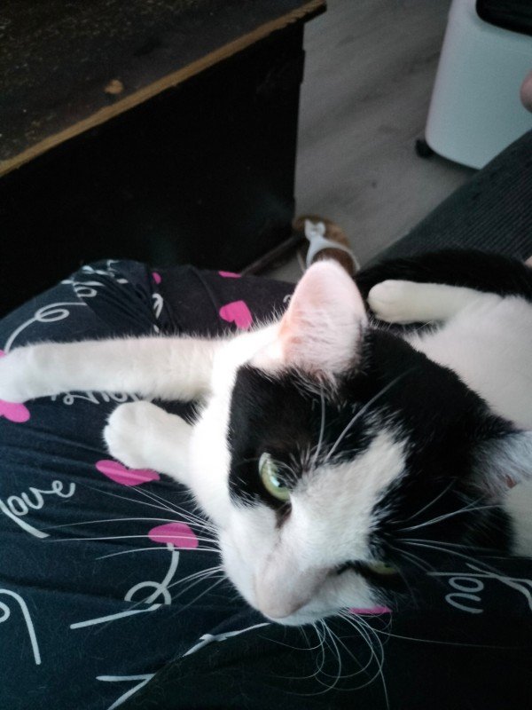 Coco