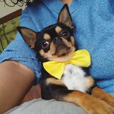 Milo