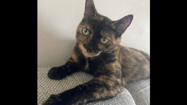 Luna
