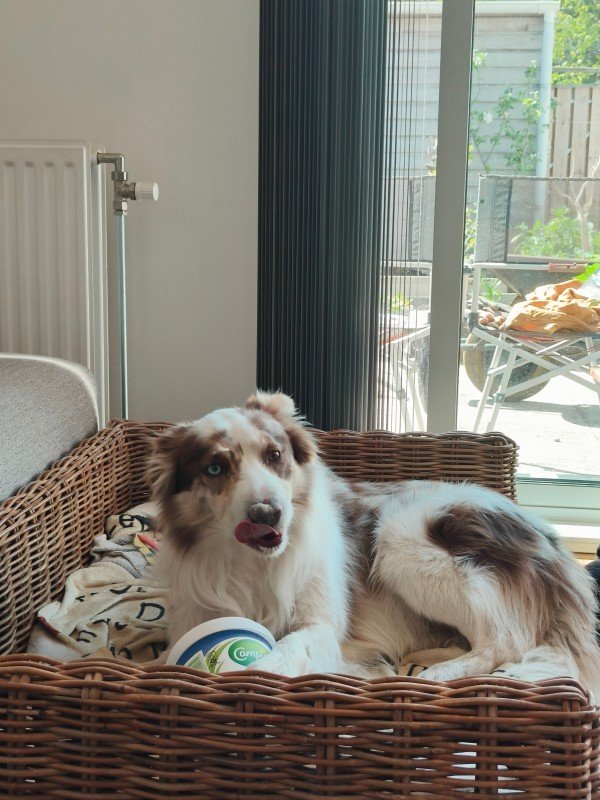 Milo