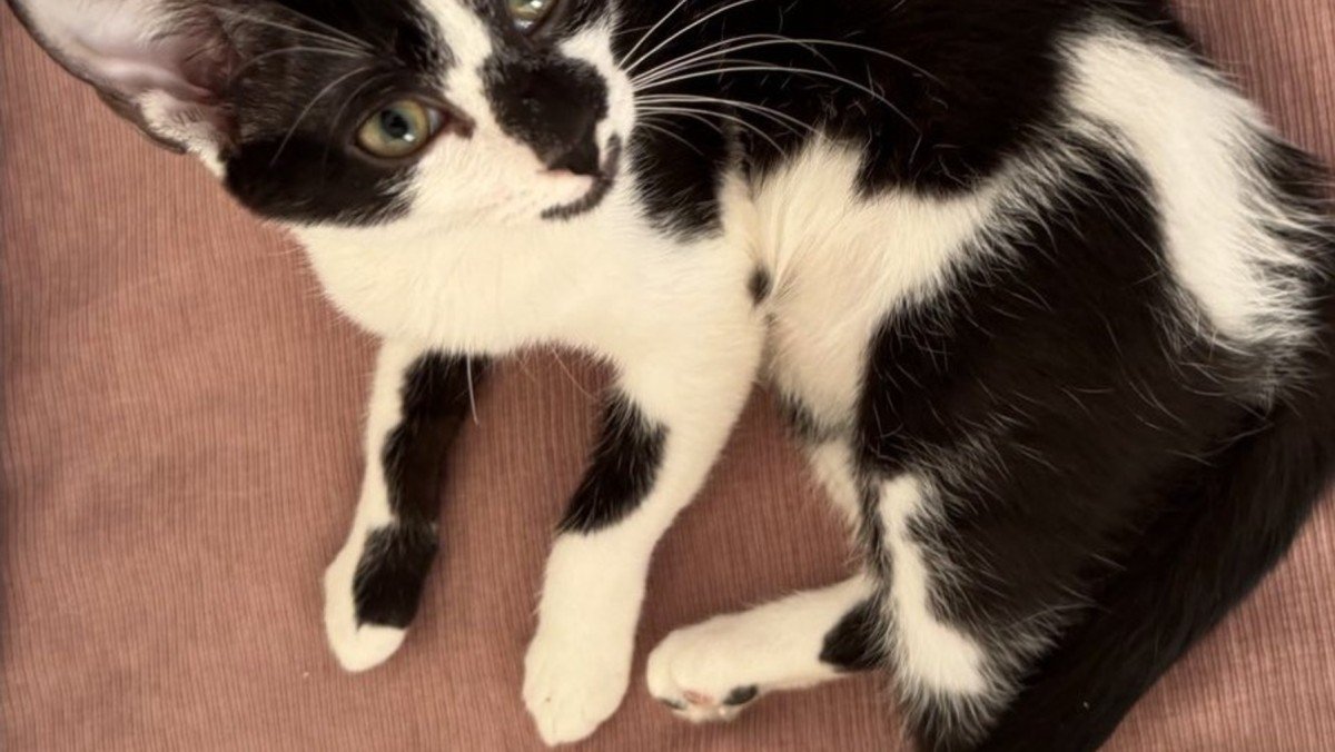 Pablo