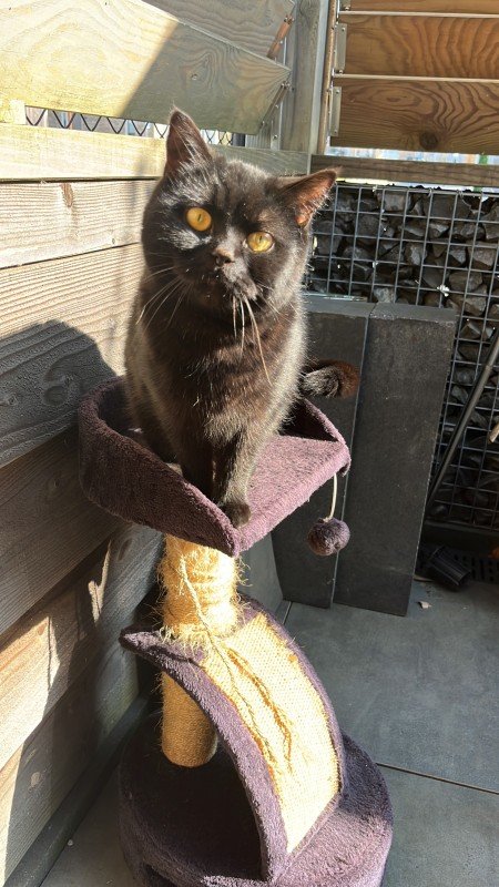 Luna