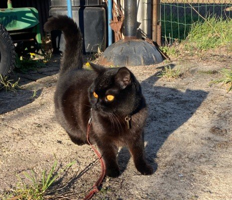Luna