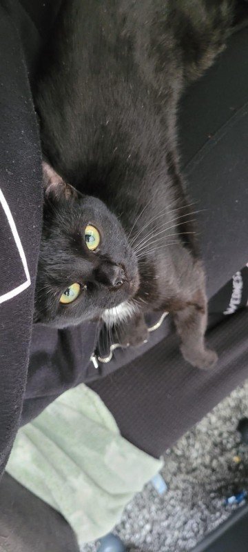 Blacky