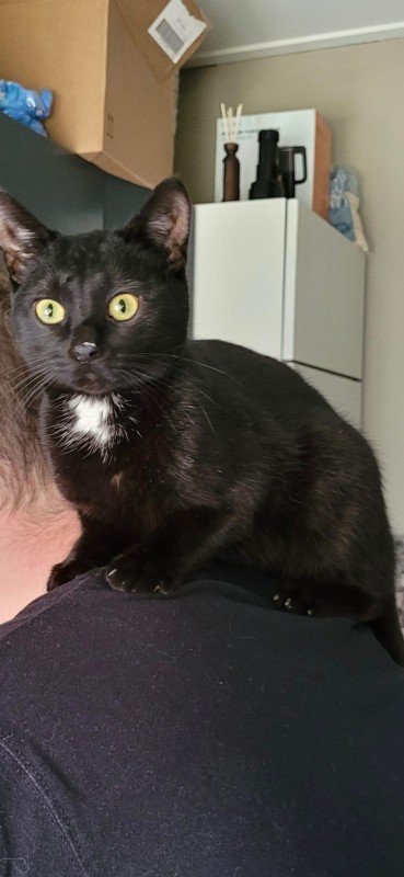 Blacky