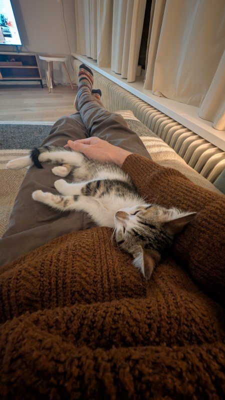 Floof
