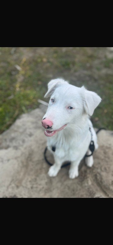 Charlie