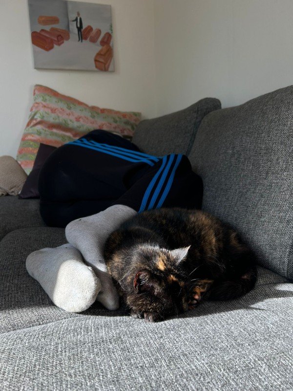 Pluisje