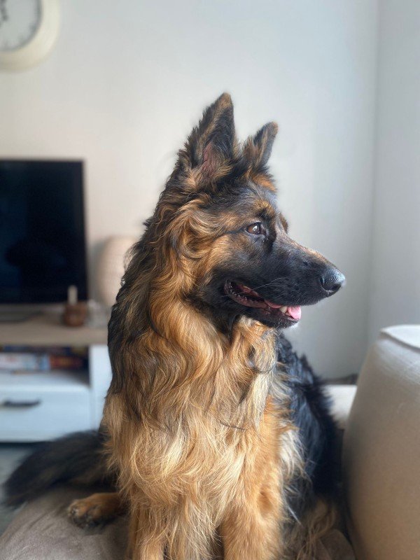 Freya