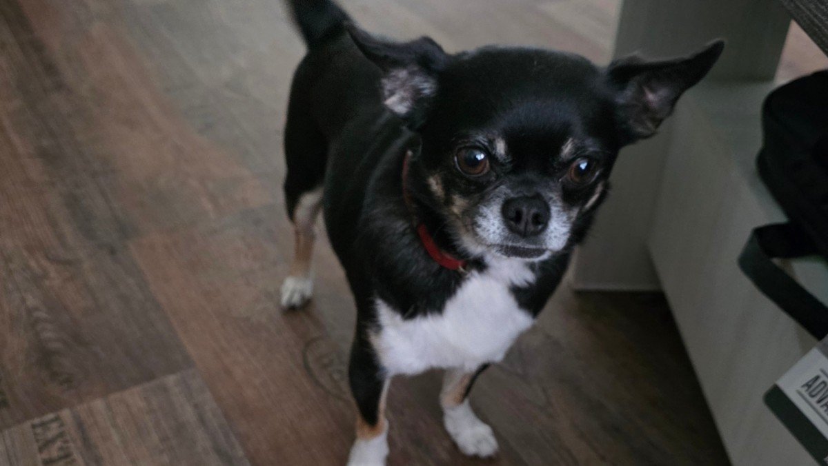 Pablo